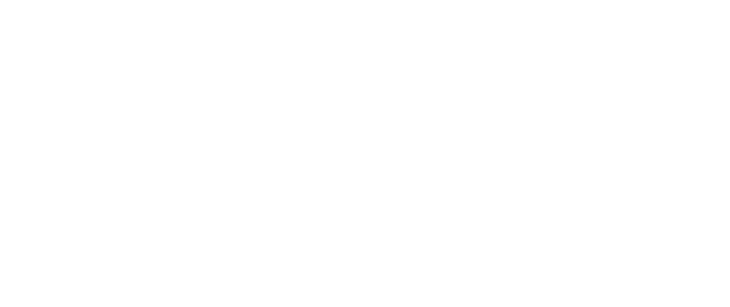 Universidad Americana de Negocios